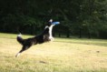 /album/fotogalerie-dogfrisbee/img-4413-jpg/